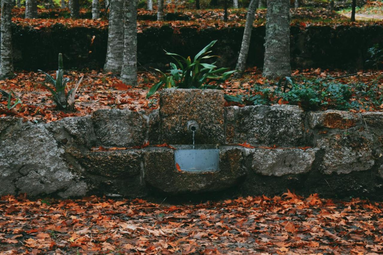 Quinta Das Fontes - Alojamento Rustico Local E Turismo Rural Sao Pedro do Sul Luaran gambar