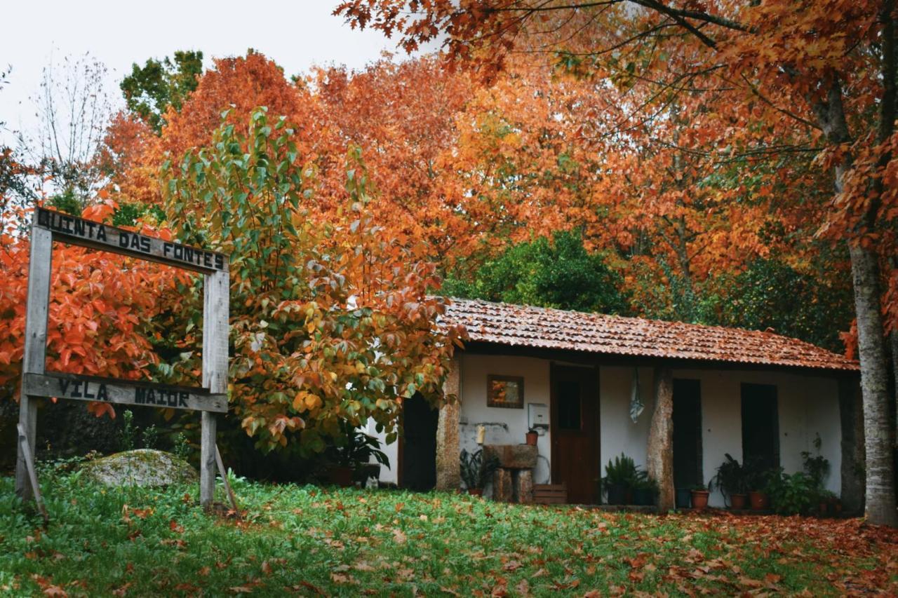 Quinta Das Fontes - Alojamento Rustico Local E Turismo Rural Sao Pedro do Sul Luaran gambar