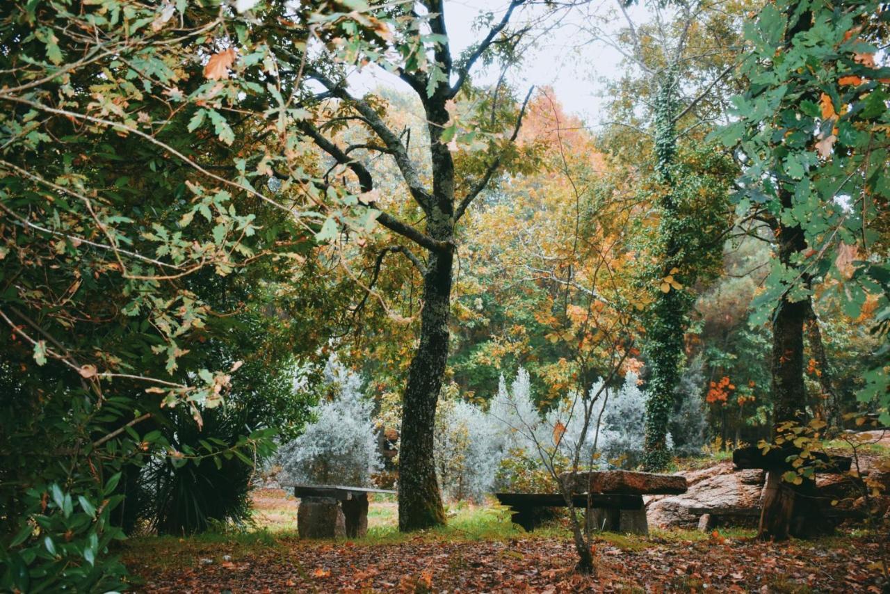 Quinta Das Fontes - Alojamento Rustico Local E Turismo Rural Sao Pedro do Sul Luaran gambar