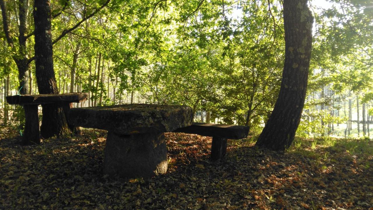 Quinta Das Fontes - Alojamento Rustico Local E Turismo Rural Sao Pedro do Sul Luaran gambar