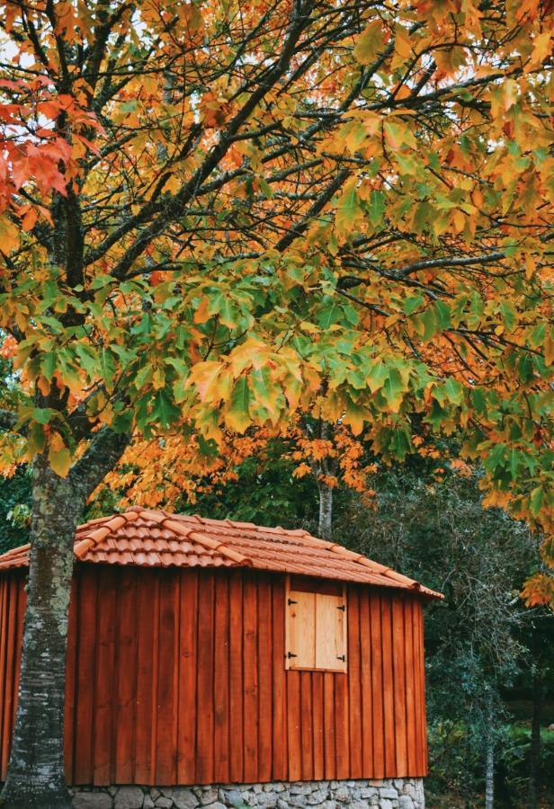 Quinta Das Fontes - Alojamento Rustico Local E Turismo Rural Sao Pedro do Sul Luaran gambar