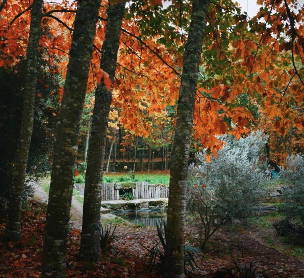 Quinta Das Fontes - Alojamento Rustico Local E Turismo Rural Sao Pedro do Sul Luaran gambar