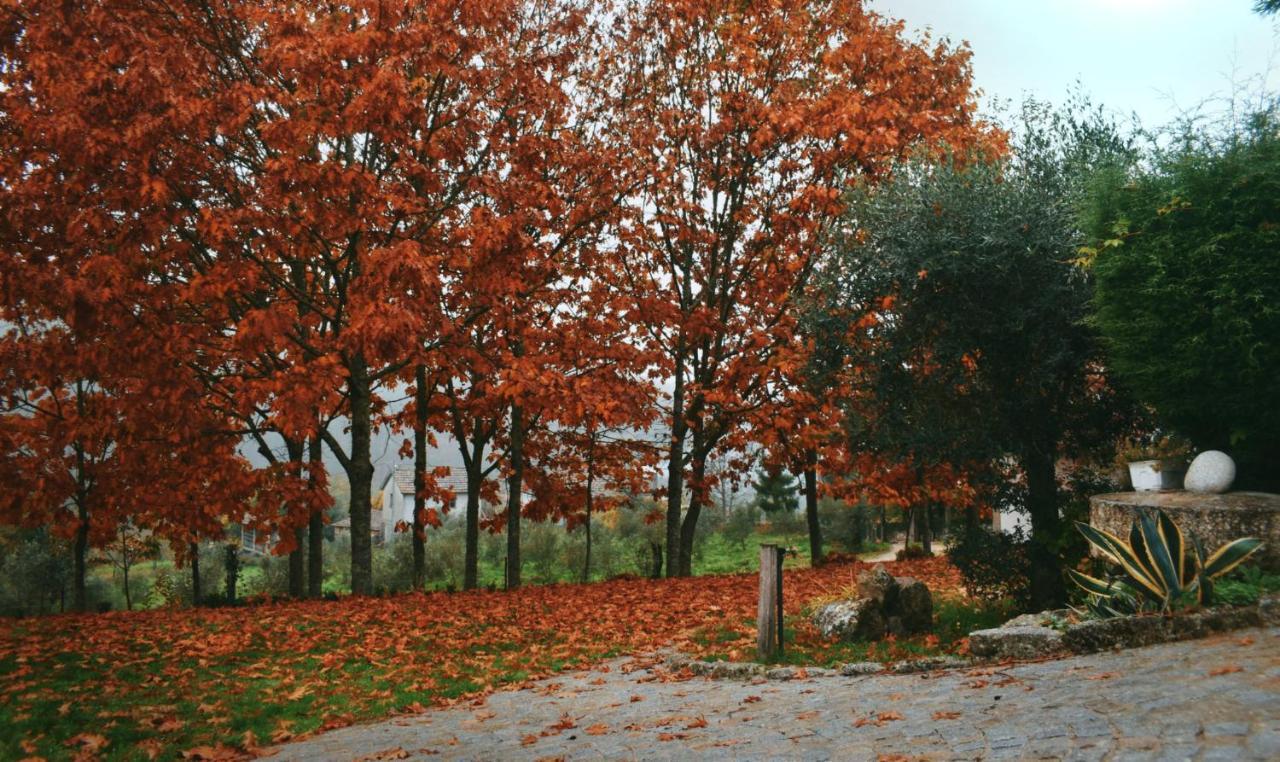 Quinta Das Fontes - Alojamento Rustico Local E Turismo Rural Sao Pedro do Sul Luaran gambar