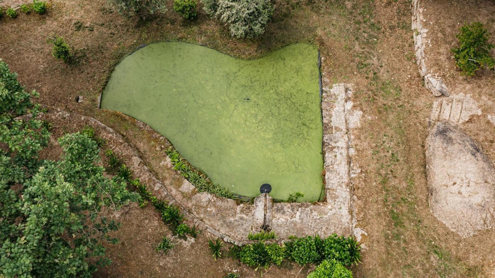 Quinta Das Fontes - Alojamento Rustico Local E Turismo Rural Sao Pedro do Sul Luaran gambar
