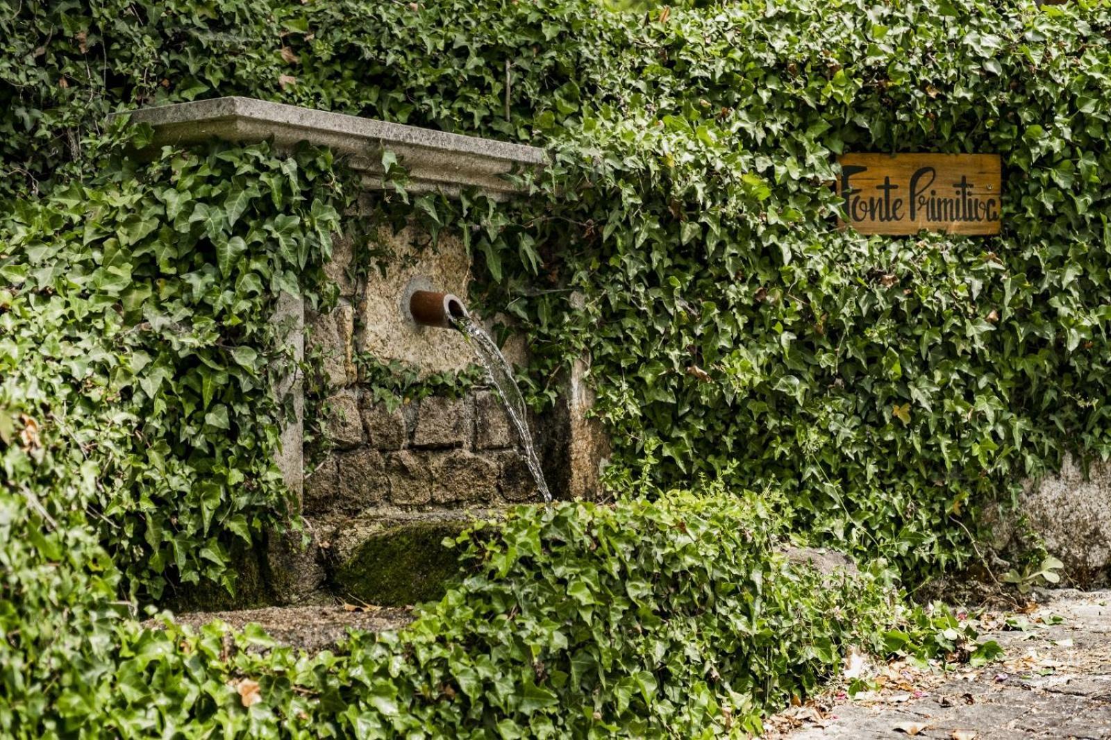 Quinta Das Fontes - Alojamento Rustico Local E Turismo Rural Sao Pedro do Sul Luaran gambar