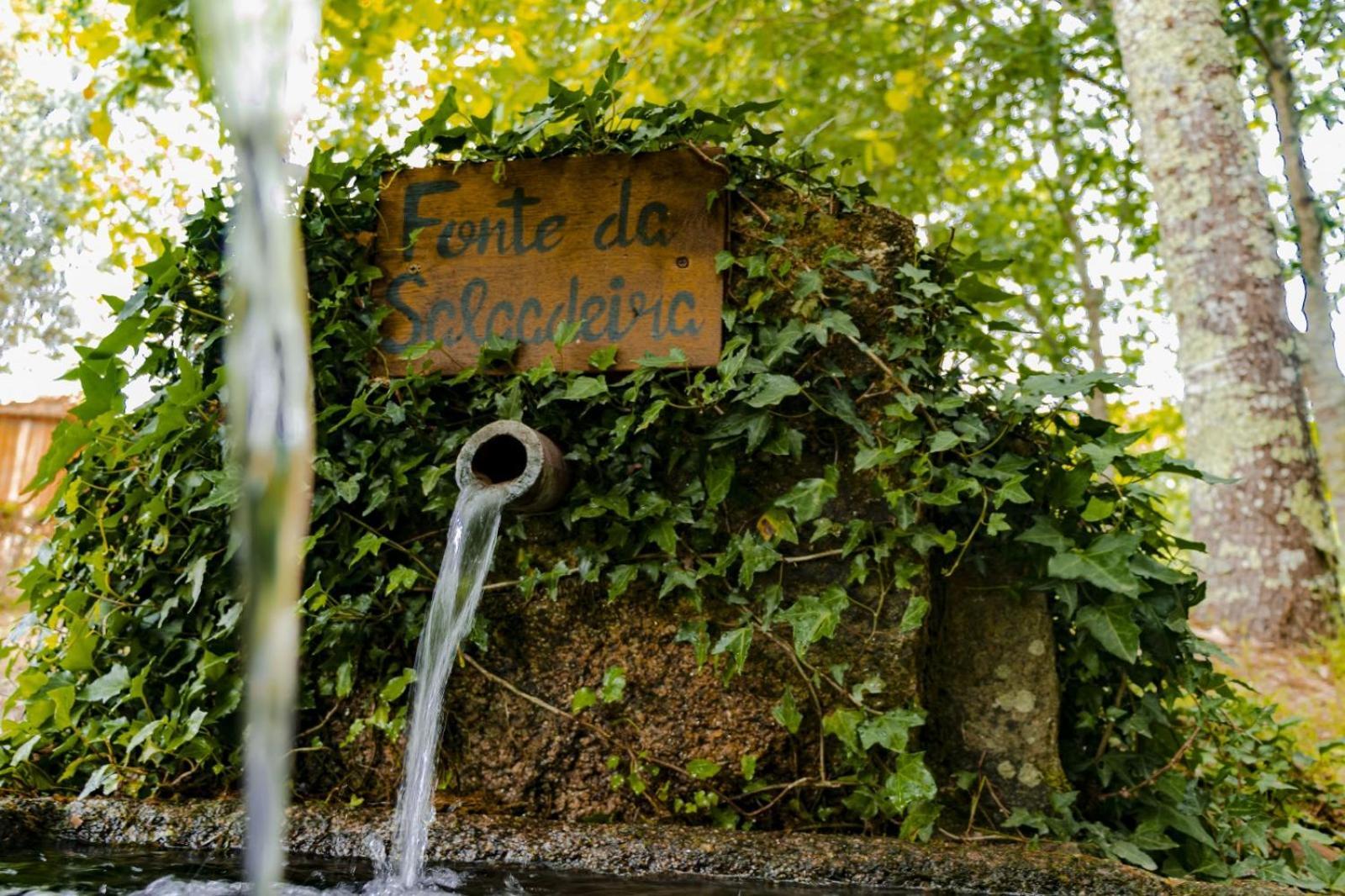 Quinta Das Fontes - Alojamento Rustico Local E Turismo Rural Sao Pedro do Sul Luaran gambar