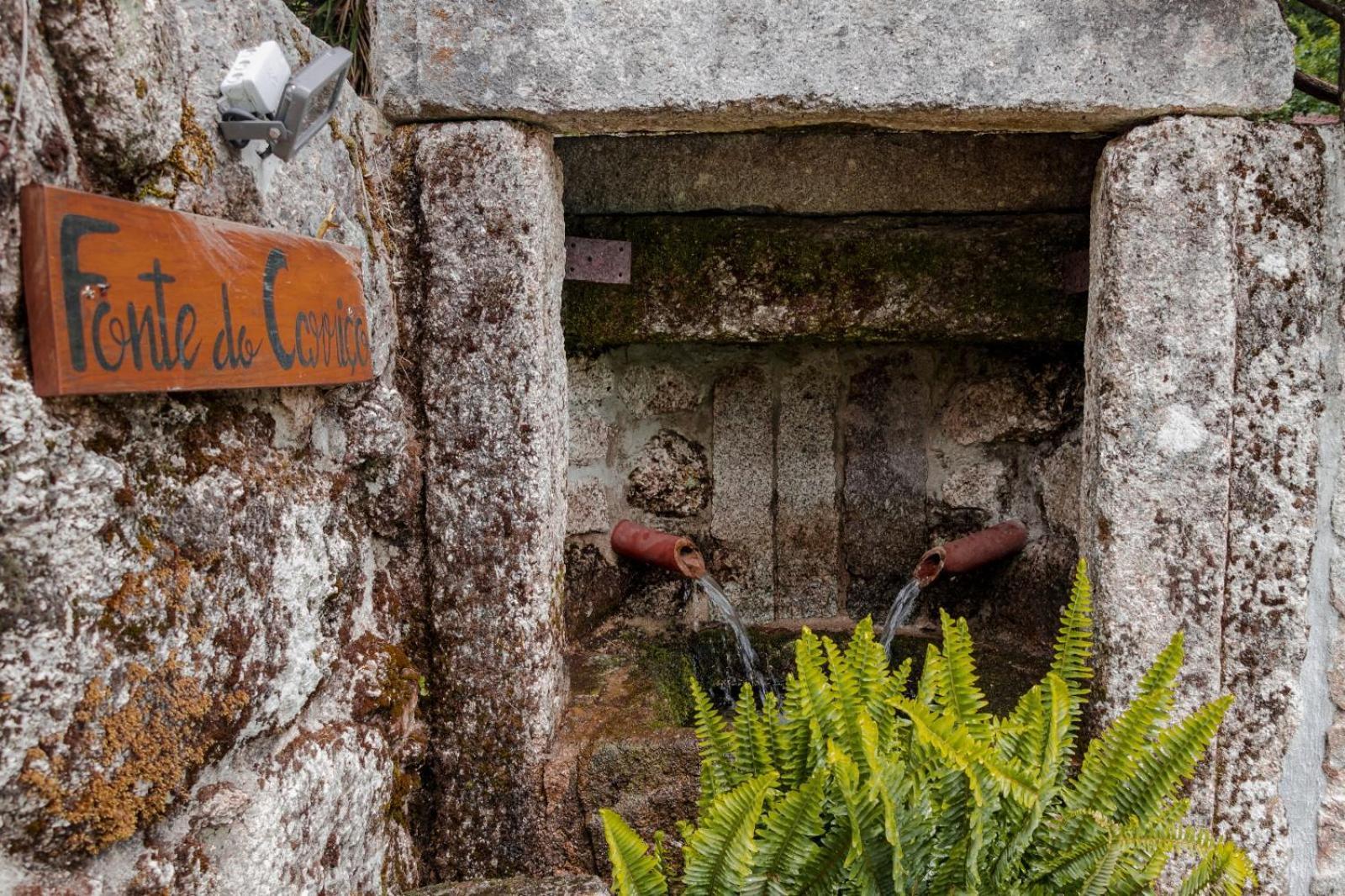 Quinta Das Fontes - Alojamento Rustico Local E Turismo Rural Sao Pedro do Sul Luaran gambar